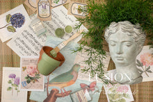 Load image into Gallery viewer, Conservatory