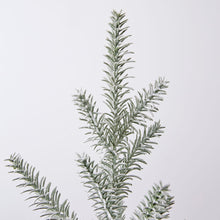 Load image into Gallery viewer, Tabletop Fir Tree in Galvanized Pot