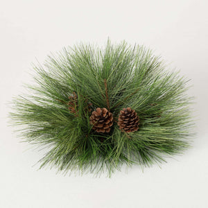 Pine Orb