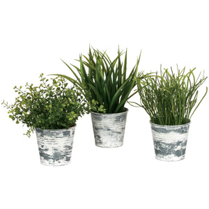 Potted Grass in Whitewashed Tin Pail