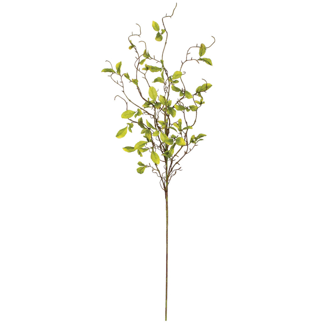 Leaf & Twig Spray