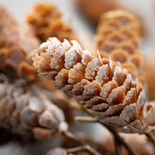 Load image into Gallery viewer, Frosted Pinecone Hanging Spray